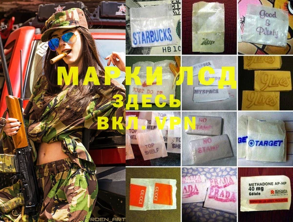 мдпв Богданович