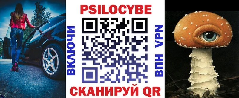 Псилоцибиновые грибы Psilocybe  где купить наркоту  Верхнеуральск 